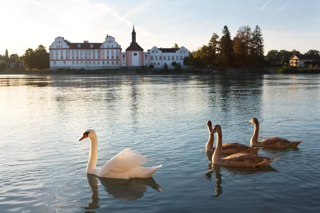 Gesundheitshotel Gugerbauer Schaerding Bagian luar foto